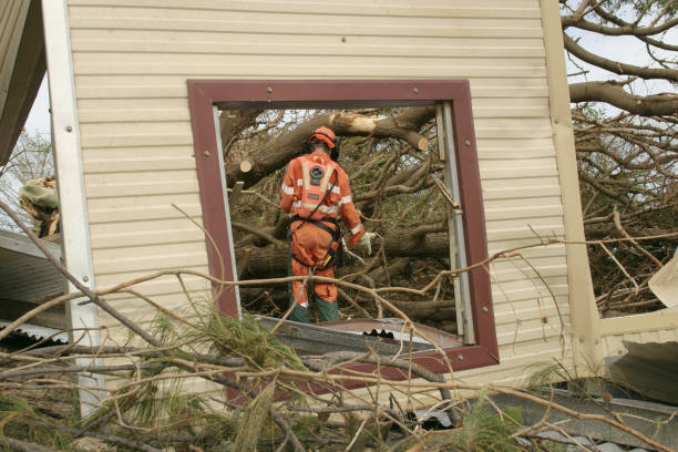 Best Tree and Shrub Care  in Freeland, WA